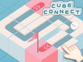 Peli Cube Connect verkossa
