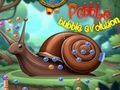 Peli Pebble -kuplan kehitys verkossa