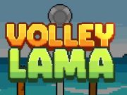 Peli Volley -lama verkossa