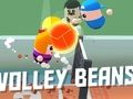 Peli Volley pavut  verkossa