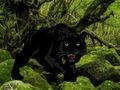 Peli Pakene Black Panther Forestista  verkossa