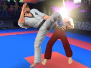 Peli Karate -hävittäjä verkossa Peli Karate -hävittäjä verkossa