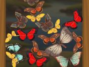Peli Yhdistä Butterfly  verkossa