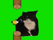 Peli Flappy Bird Spining Oia Oia Cat  verkossa