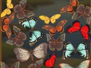 Peli Mergebuterfly: 2048! verkossa Peli Mergebuterfly: 2048! verkossa
