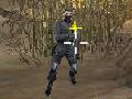 Peli Flash -kriisi  verkossa