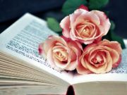 Peli Book of Blooms -peli verkossa