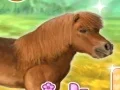 Peli My Dear Pony verkossa