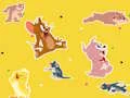 Peli The Tom and Jerry Show Find it! verkossa