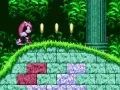 Peli Mighty & Ray In Sonic 2 verkossa