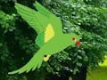 Peli Parrot Find The Nest verkossa