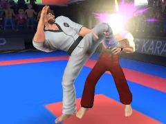 Peli Karate Fighter verkossa