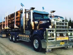 Peli American City Truck Transporting verkossa
