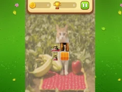 Peli Farm Cat Memory Match verkossa