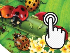 Peli Ladybug Clicker verkossa