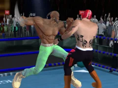 Peli Real Boxing Fighting Game verkossa