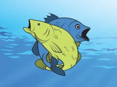 Peli Friendly Fish Coloring verkossa