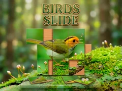 Peli Birds Slide verkossa