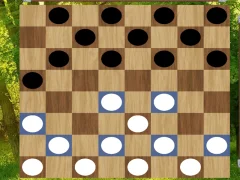 Peli Classic Checkers: Forest verkossa