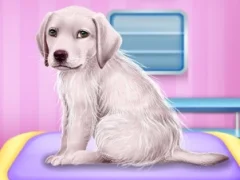 Peli Labrador at the doctor salon verkossa