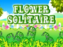 Peli Flower Solitaire verkossa