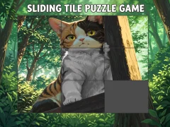 Peli Sliding Tile Puzzle Game verkossa