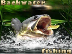 Peli Backwater Fishing verkossa