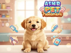 Peli Asmr Pet Treatment verkossa