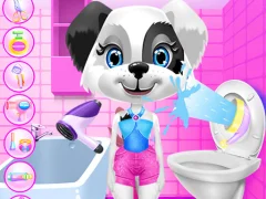 Peli Lucy Dog Care verkossa