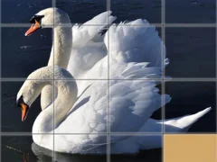 Peli Animals Slide Puzzle verkossa