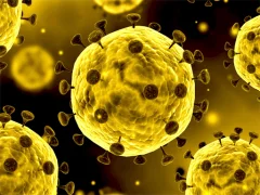Peli Coronavirus Slide verkossa