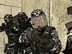 Peli CS Online verkossa