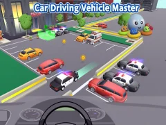 Peli Car Driving Vehicle Master verkossa