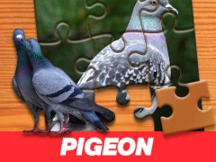 Peli Pigeon Jigsaw Puzzle verkossa