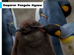 Peli Emperor Penguin Jigsaw verkossa