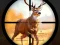 Peli Wild Hunting Clash verkossa