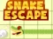 Peli Snake escape verkossa