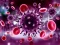 Peli Coronavirus Puzzle verkossa