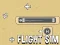 Peli Flight Sim verkossa
