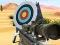 Peli Hit Targets Shooting verkossa