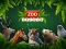 Peli ZOO Trivia verkossa