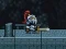 Peli Knight Treasure verkossa