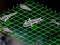 Peli Intergalactic Battleships verkossa