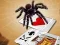 Peli Jumping Spider verkossa