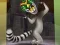 Peli King Julien: Trommel-Tanz verkossa
