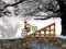 Peli Ice Biker verkossa