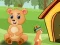 Peli Bear Home verkossa