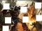 Peli Transformers 3 image puzzles verkossa