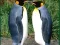 Peli Penguin Puzzle verkossa