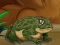 Peli Frogs Matching verkossa